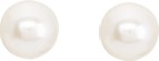 335912 - Earrings - SILVER