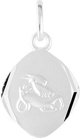 336183.10 - Charms & Pendants - SILVER