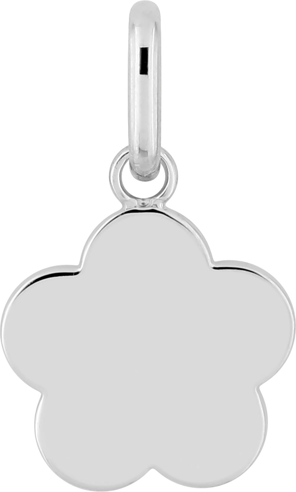 336445 - Charms & Pendants - SILVER