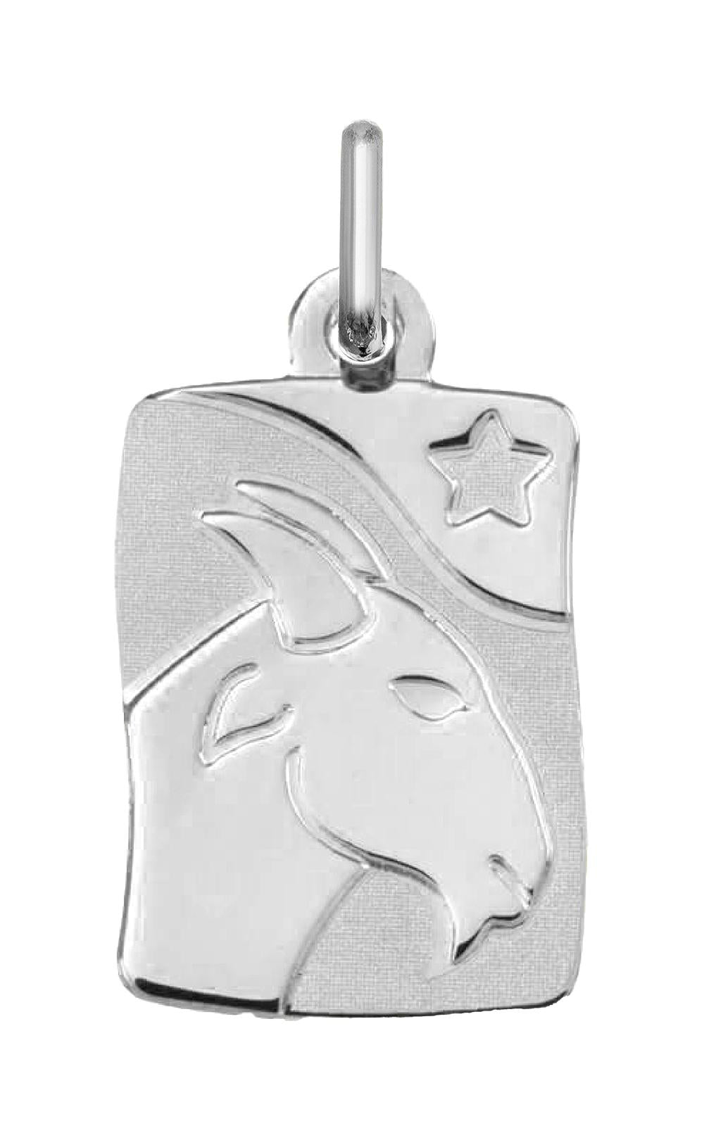 336504.10 - Charms & Pendants - SILVER