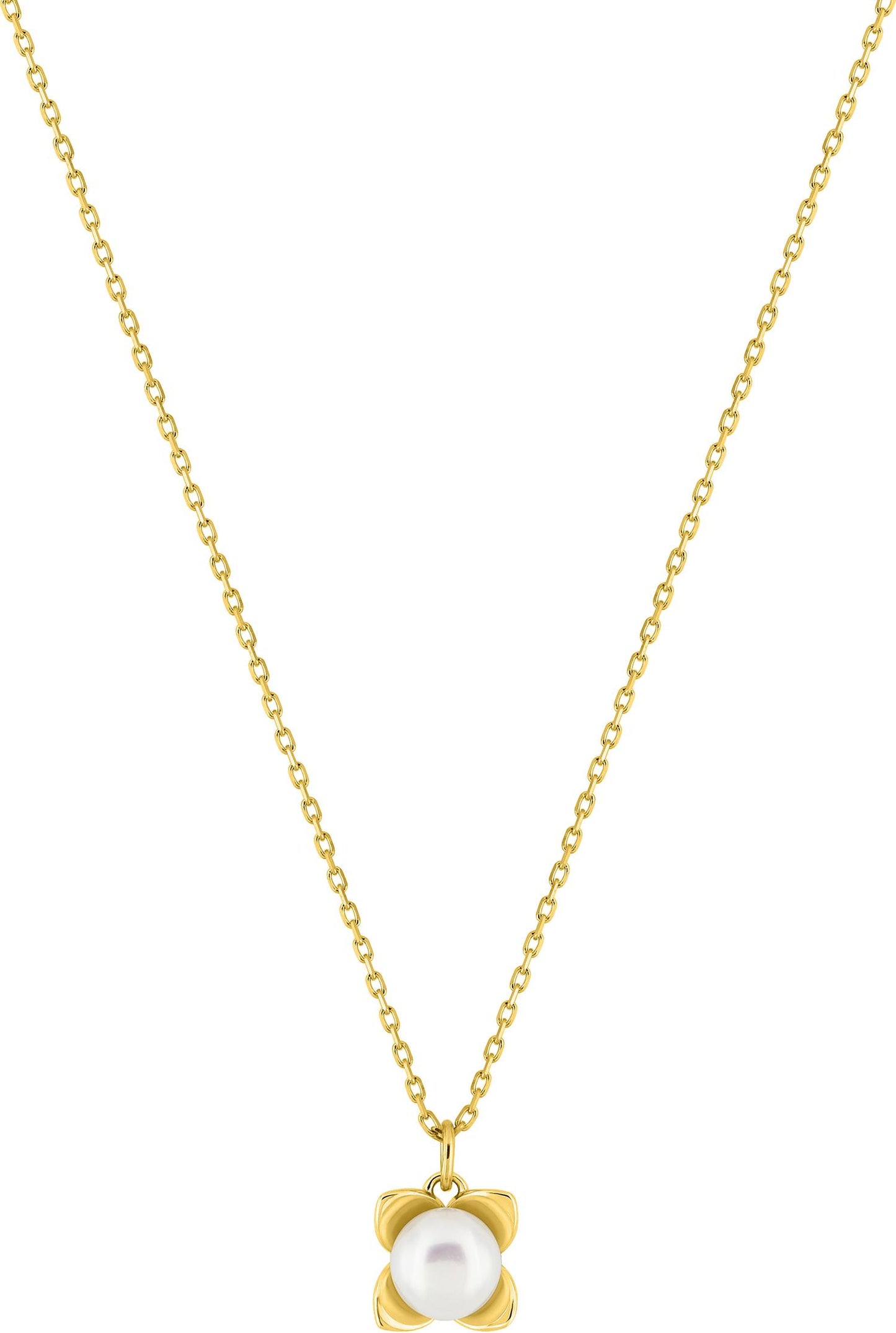 397384.P0 - Necklaces - 9CT YELLOW GOLD