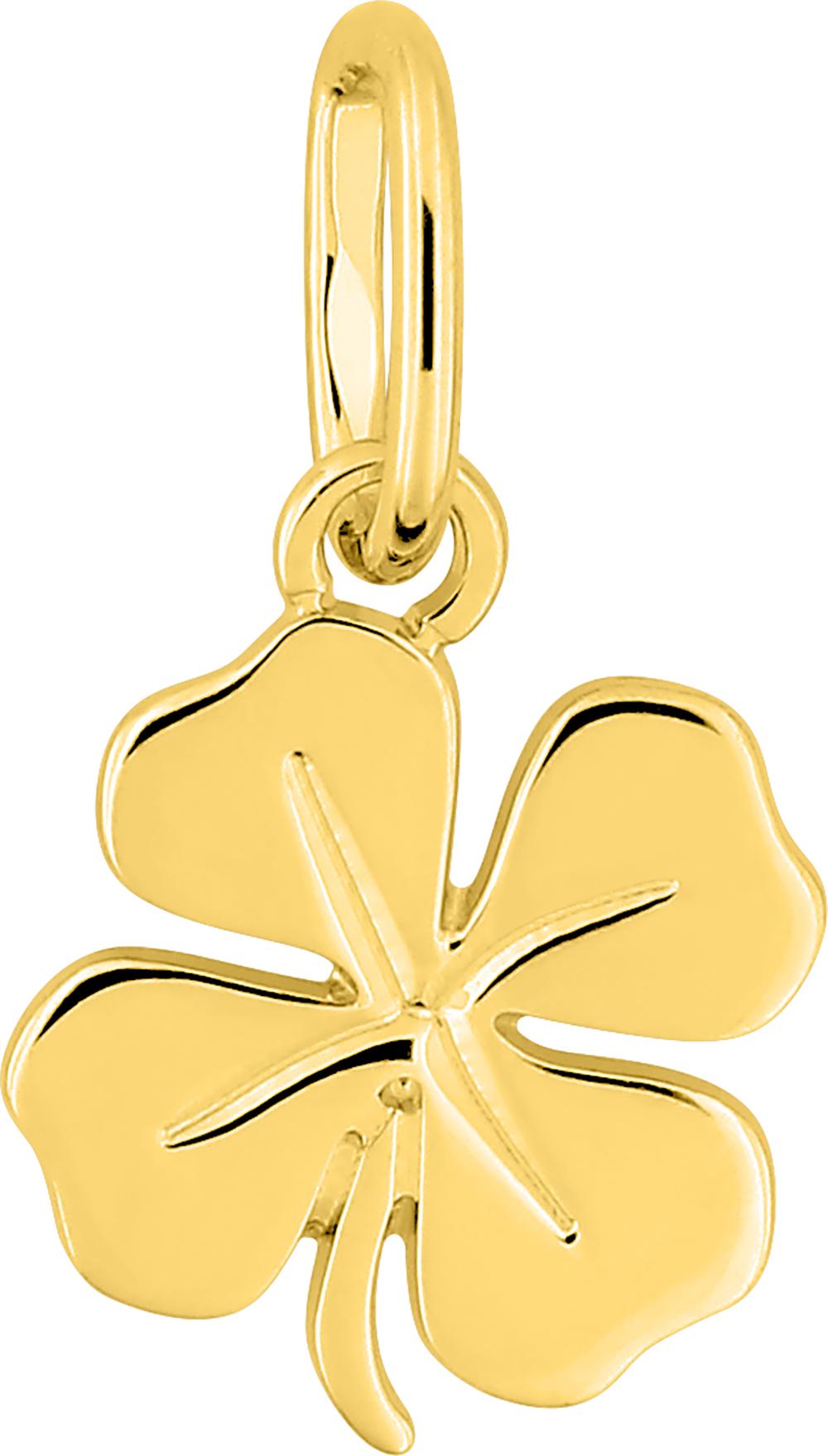 397450.00 - Charms & Pendants - 9CT YELLOW GOLD