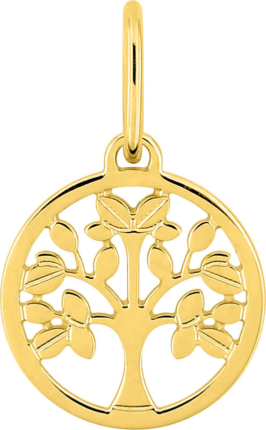 397519.00 - Charms & Pendants - 9CT YELLOW GOLD