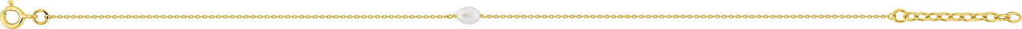 497389.P0 - Anklets - 9CT YELLOW GOLD