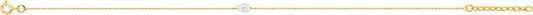 497389.P0 - Anklets - 9CT YELLOW GOLD