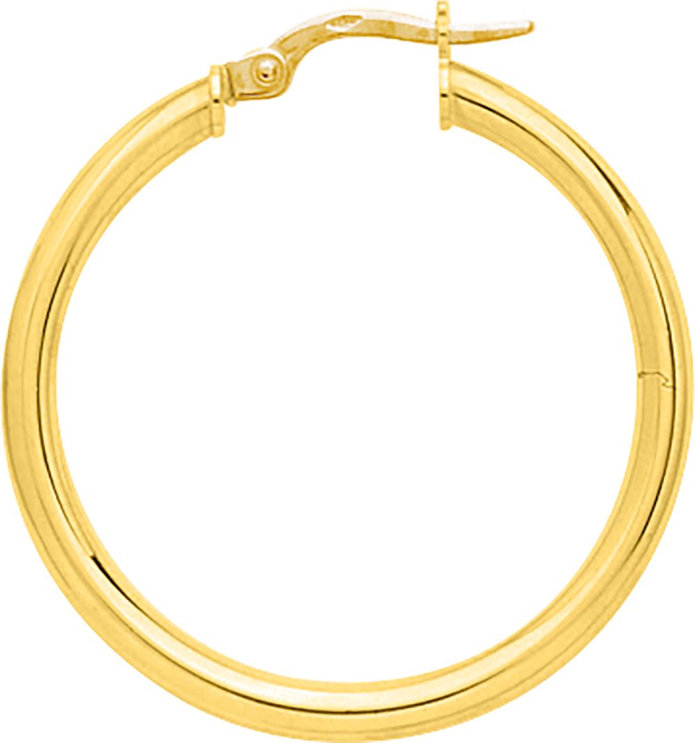 650001.6 - Earrings - 9CT YELLOW GOLD