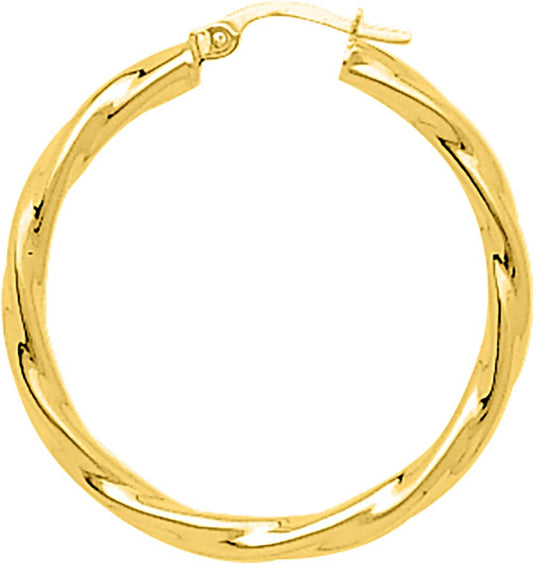 650070.3 - Earrings - 9CT YELLOW GOLD