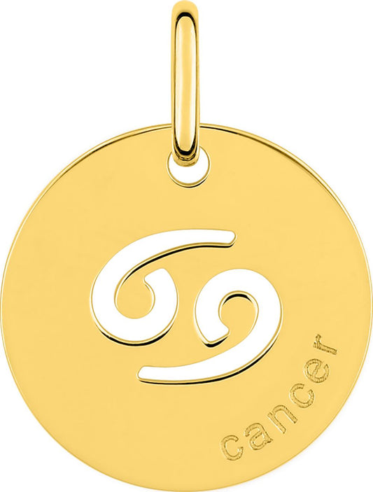 9K73235 - Charms & Pendants - 9CT YELLOW GOLD