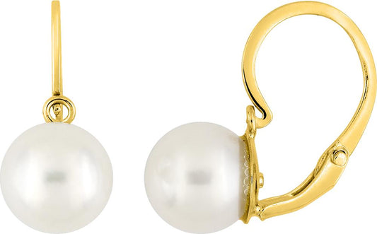 9K8264.1P - Earrings - 9CT YELLOW GOLD