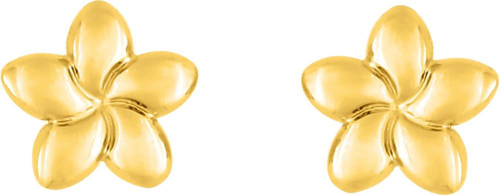9K8582 - Earrings - 9CT YELLOW GOLD