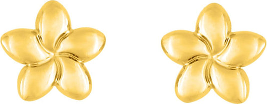 9K8582 - Earrings - 9CT YELLOW GOLD