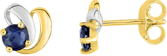 9KGJ213BS - Earrings - 9CT GOLD