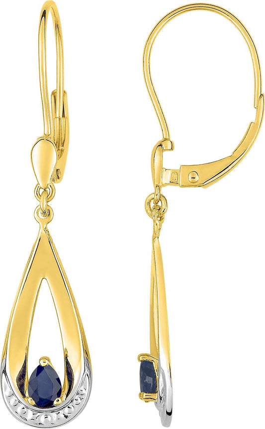 9KGL383BS - Earrings - 9CT GOLD