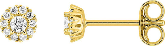9KLGD052Y - Earrings - 9CT YELLOW GOLD