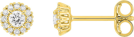 9KLGD053Y - Earrings - 9CT YELLOW GOLD