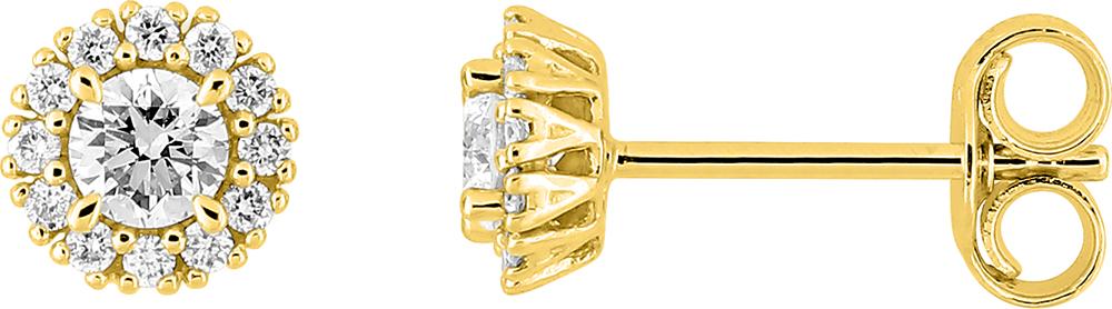 9KLGD055Y - Earrings - 9CT YELLOW GOLD
