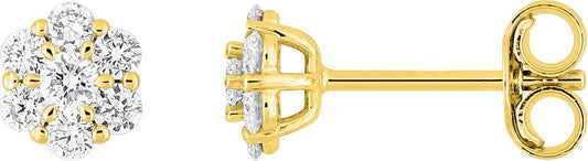 9KLGD077Y - Earrings - 9CT YELLOW GOLD