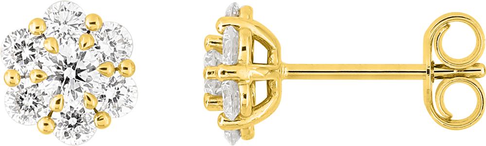 9KLGD228Y - Earrings - 9CT YELLOW GOLD