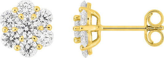 9KLGD230Y - Earrings - 9CT YELLOW GOLD