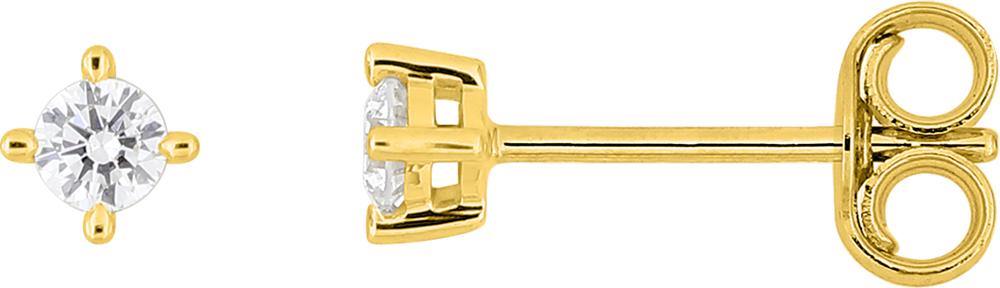 9KLGD240Y - Earrings - 9CT YELLOW GOLD