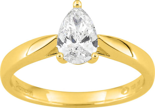 DS1113.20 - Rings - 18CT YELLOW GOLD