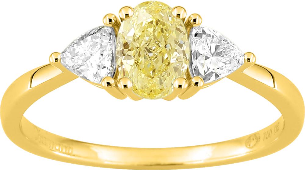 DS1139Y20 - Rings - 18CT YELLOW GOLD