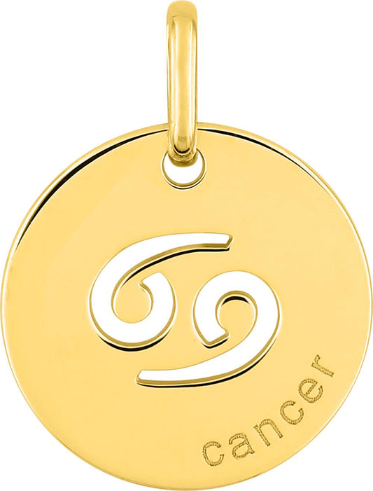 E9K73235 - Charms & Pendants - 9CT YELLOW GOLD