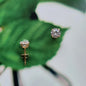ER7066 - EAR CZ STUD ROUND CLA - 9CT YELLOW GOLD