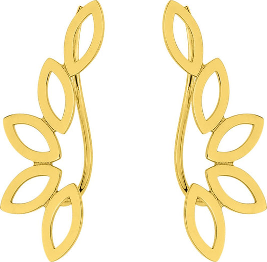 S12.37001 - Earrings - 9CT YELLOW GOLD